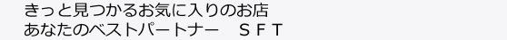 SFT副代理店があなたのカーライフをサポートします。